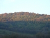 planina-fruska-gora-11