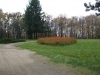 planina-fruska-gora-12