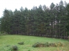 planina-fruska-gora-25