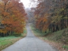 planina-fruska-gora-27