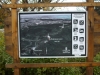 planina-fruska-gora-37