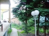 sobe-jovan-fruska-gora-09