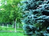 sobe-jovan-fruska-gora-11