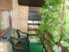 sobe-snezana-fruska-gora-13
