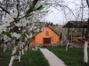 apartmani-toni-fruska-gora-22