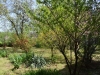fruska-gora-smestaj-park-01