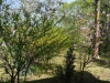 fruska-gora-smestaj-park-08